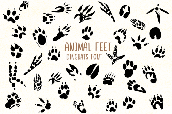 Animal Feet: A Playful Typeface for Nature-Inspired Designs